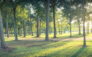 Outdoor Activities During COVID-19